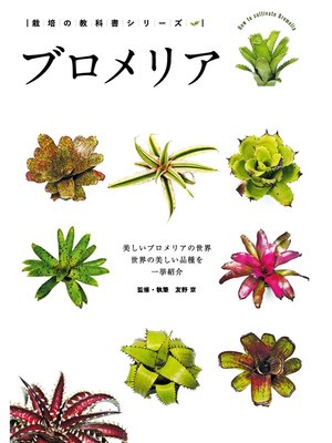cover image of ブロメリア-美しいブロメリアの世界-